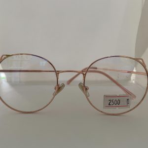 กรอบแว่นสายตา สแตนเลส (Stainless)
