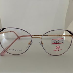 กรอบแว่นสายตา สแตนเลส (Stainless)
